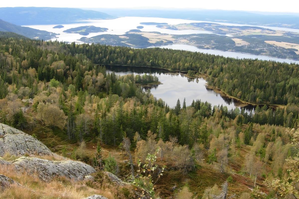 Virtuell natur - interessant forskning fra NMBU